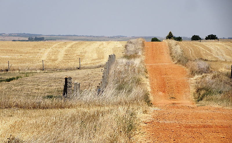 image from Verano