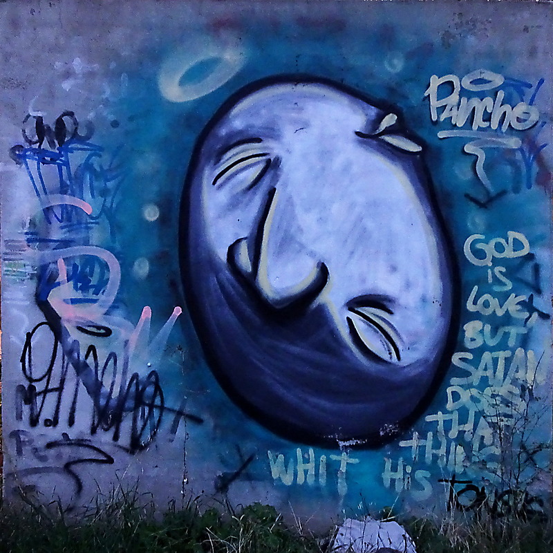 image from Junto a la vía del tren