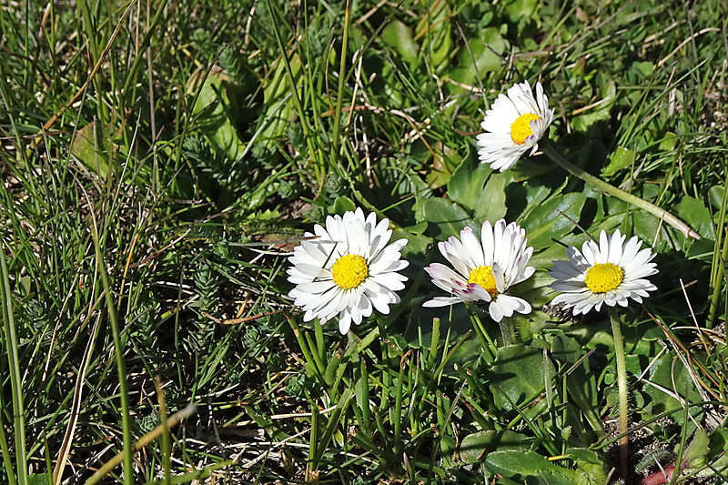 image from Dejando el invierno atrás