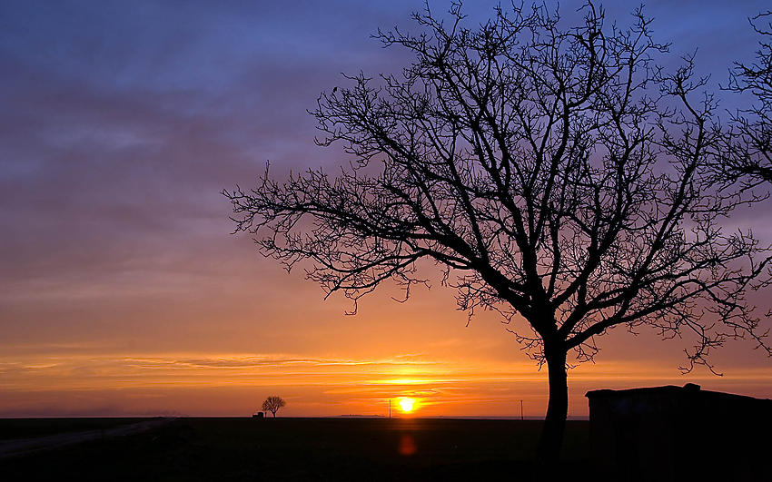image from Atardecer en la Armuña