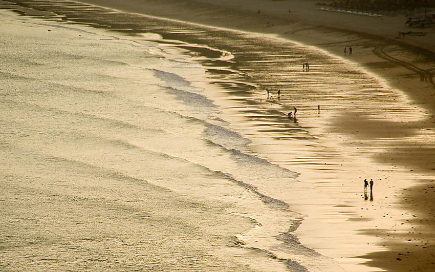 image from Dorado atardecer