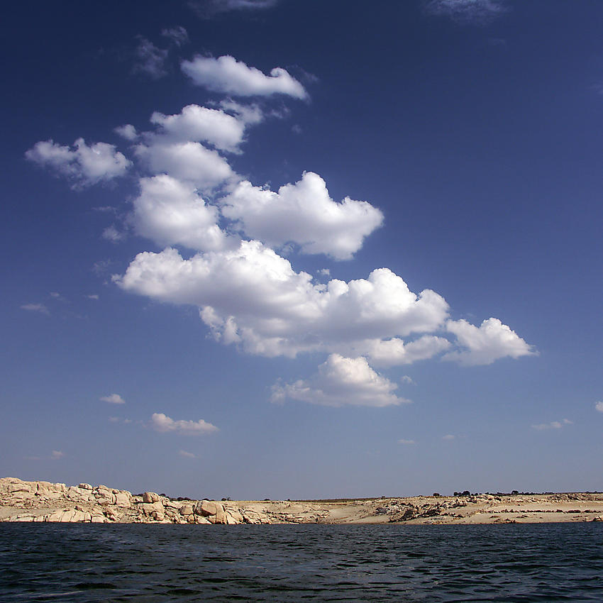 image from Monigote