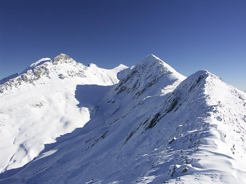 image from Mampodres