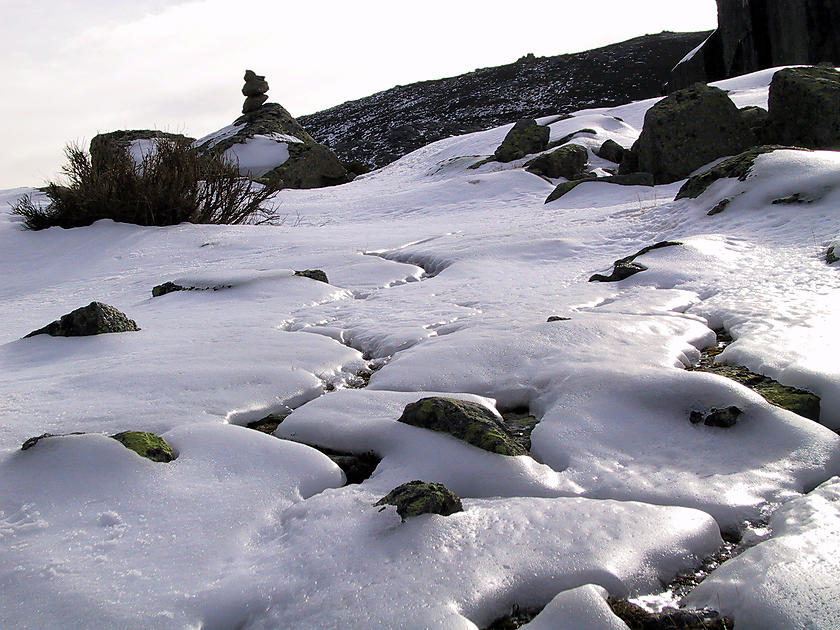 image from Texturas