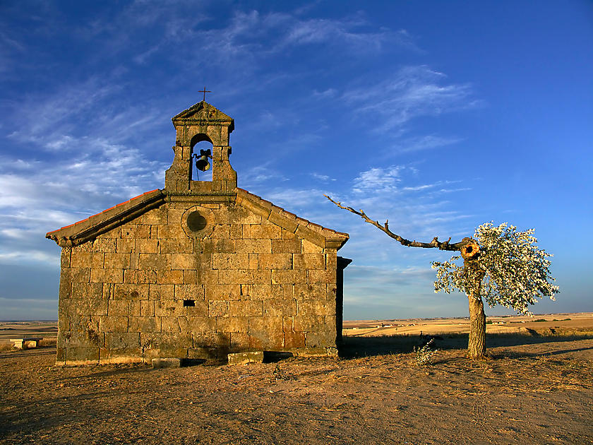image from Divina luz