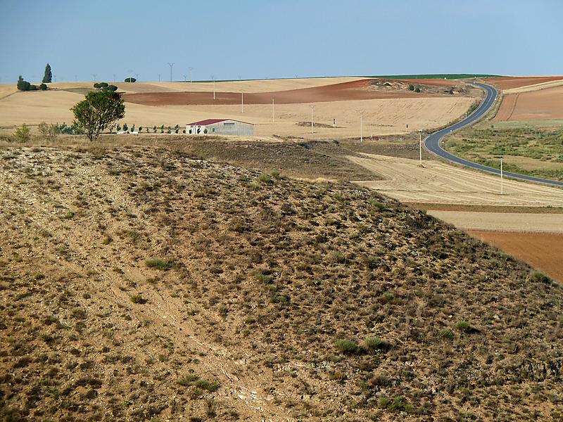image from Verano