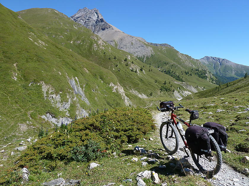 image from Fimberpass