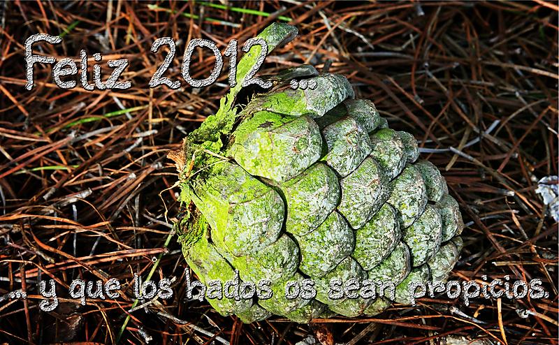 image from Feliz 2012...