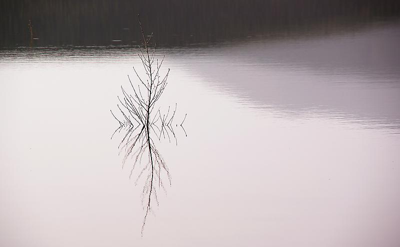 image from Quietud