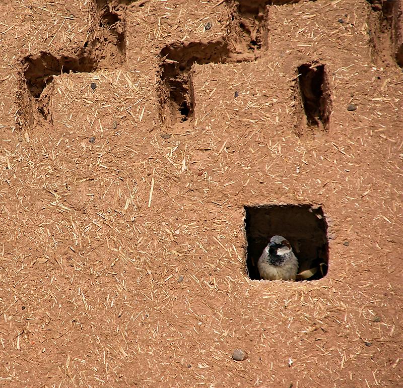 image from Desde mi ventana...