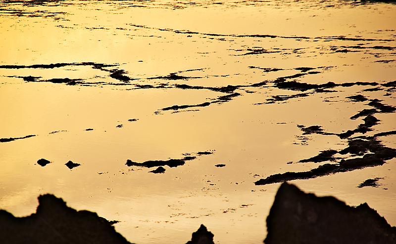 image from Dorado espejo