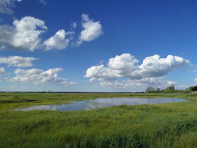 image from Dia primaveral por la Armuña