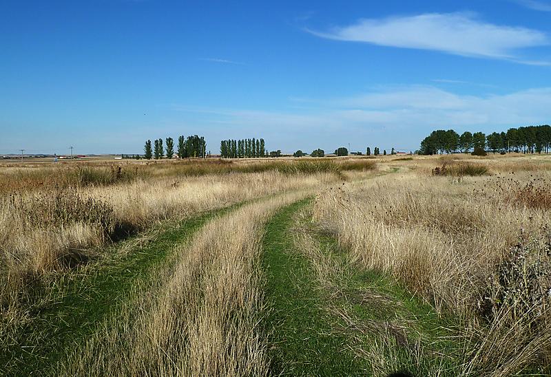 image from Camino